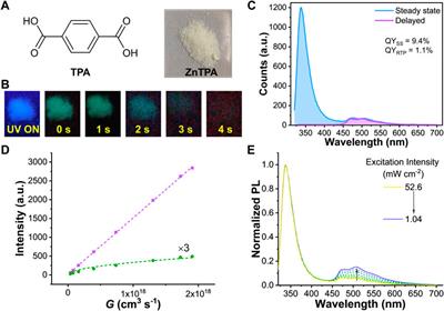 Limitation of room temperature phosphorescence efficiency in metal organic frameworks due to triplet-triplet annihilation
